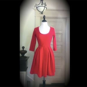 🛑TEMPORARY HOLD🛑 NWOT Scuba Pleated Flare Skater Dress